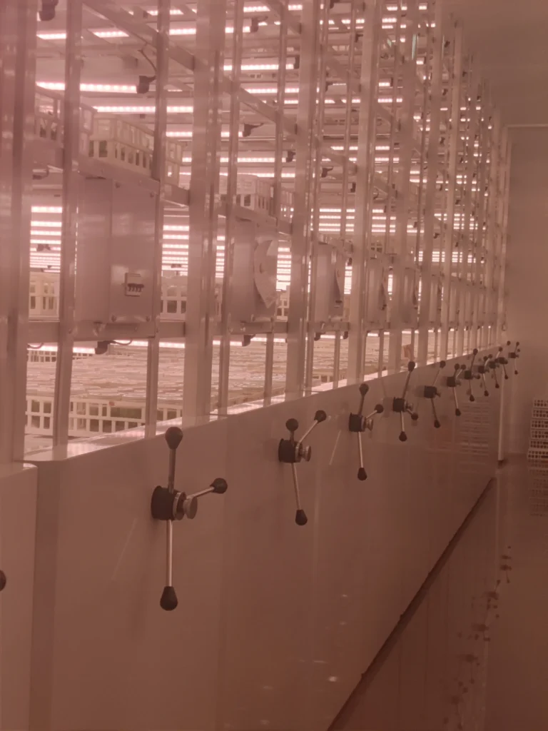 Lighting Strategies for Tissue Culture and Micropropagation