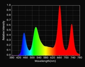 How to choose right spectrum?