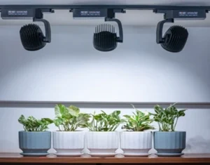 Best grow light for indoor vertical green wall?