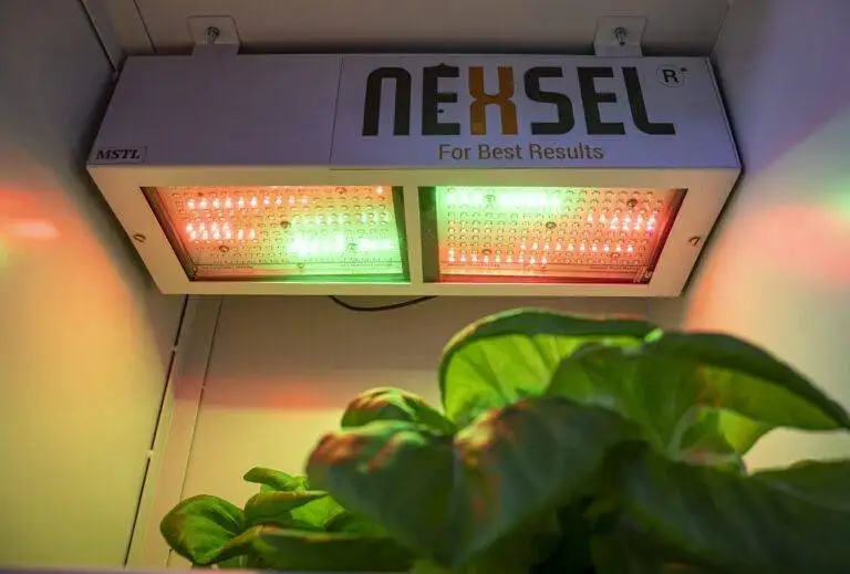 nexsel-tissue-culture-grow-light-installation-guide