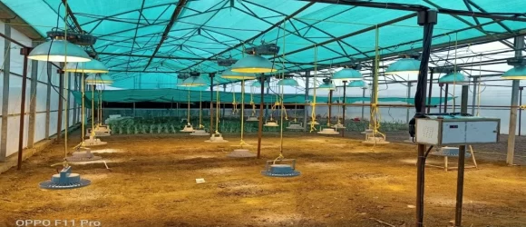 india 180 watt 5