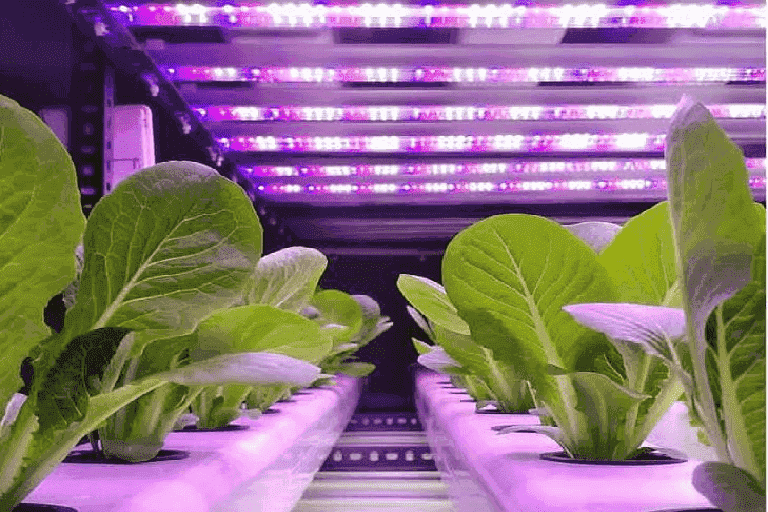 india india LED Plant Grow Lights 3
