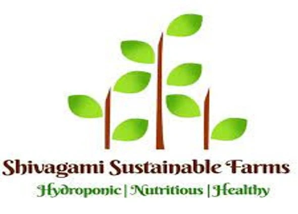 logo4