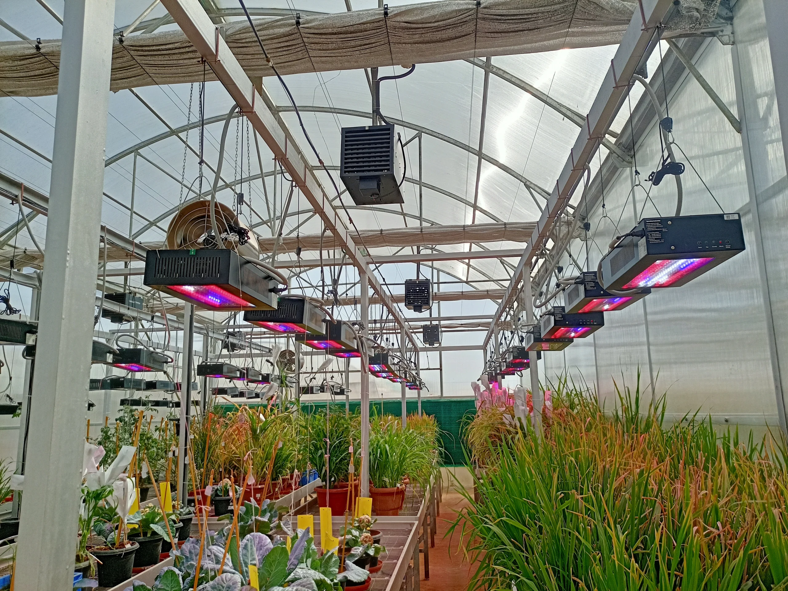 Revolutionizing Modern Agriculture with Cutting-Edge Grow Light Technology