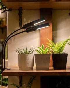 Grow-Light-Recommendation