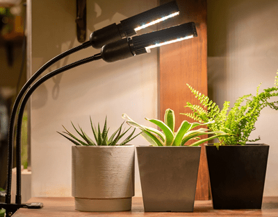 Grow Light Recommendations for Beginners