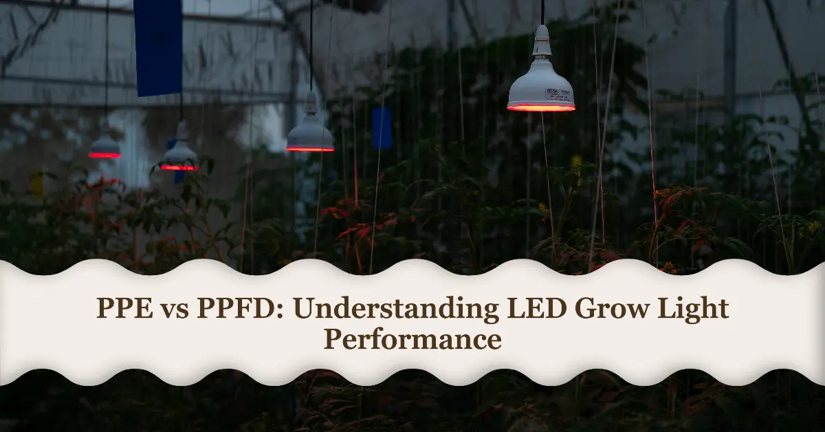 PPE vs PPFD – Understanding the grow light performance