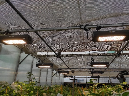 horticulture projects 14