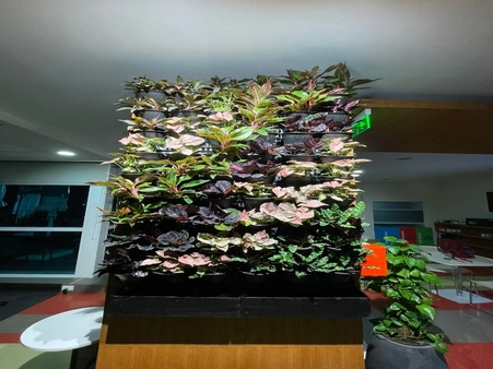 Our Projects