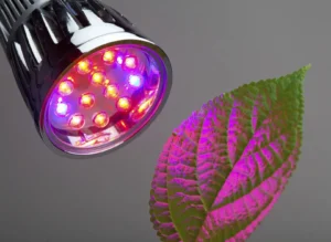 Horticultural Science