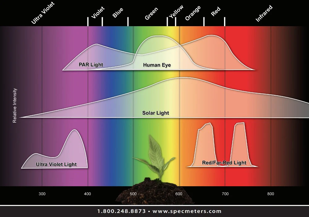 par_plants_specmeters-min-2
