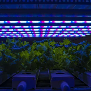 4Ft 36W Grow Light for Leafy Vegetables