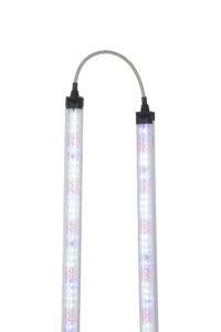 18-watt-4-ft-saffron