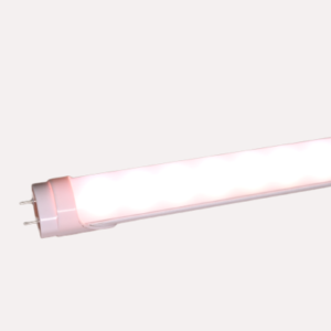 2ft-tissue-culture