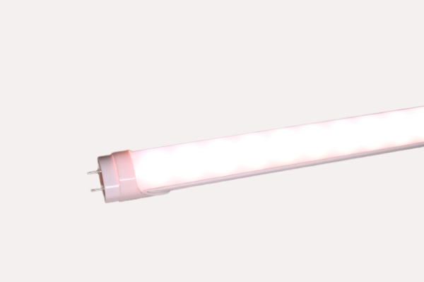 2ft-tissue-culture