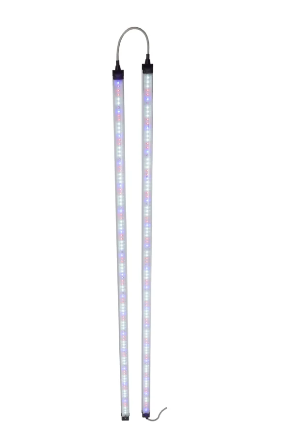 36-watt-saffron