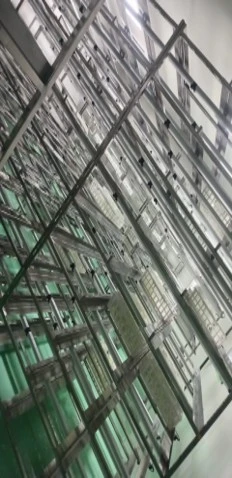 Potato Tissue Culture