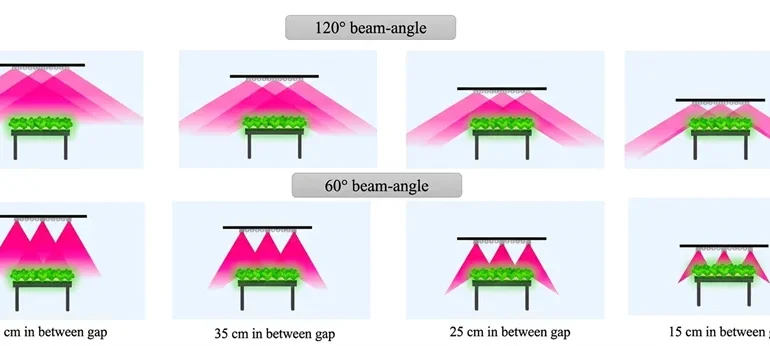 How Grow Light Beam Angle and Mounting Height Affect Plant Growth